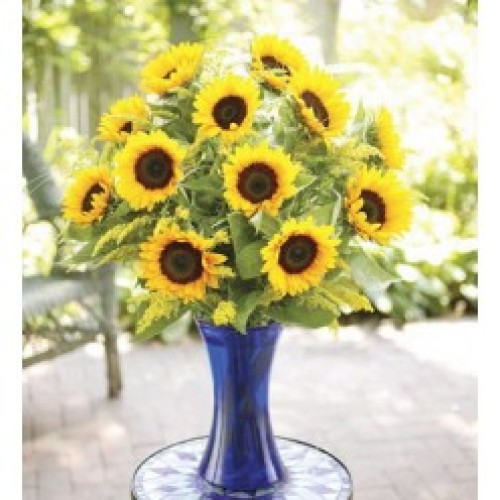 One Dozen Sunflower in a Vase